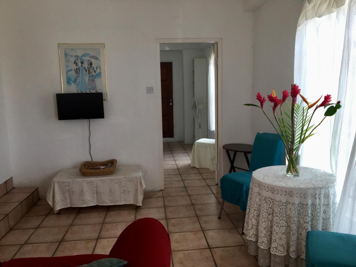 Apartamento Carenage View St. George's Exterior foto