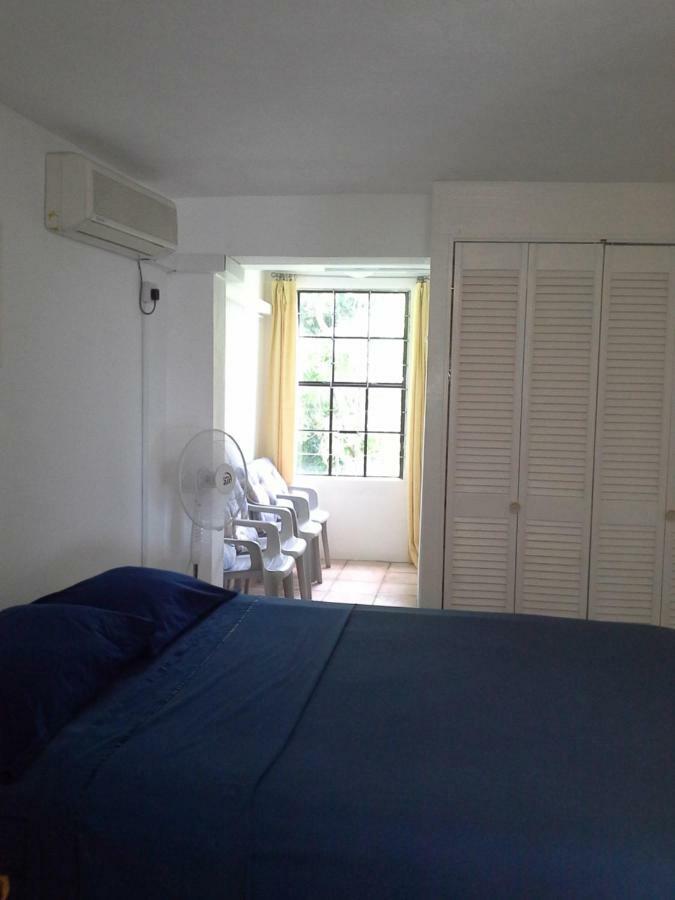 Apartamento Carenage View St. George's Exterior foto